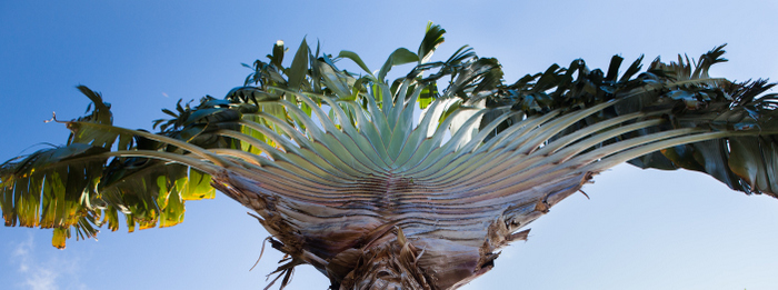 Saint-Vincent et les Iles grenadines Eklaprod